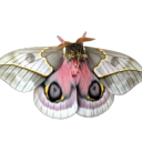 abortiondelight avatar