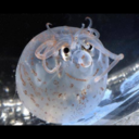 about57ninjas avatar