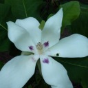 aboutrightnow avatar