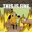 absentmindedshyintrovert avatar