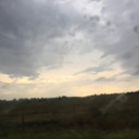 absolutelyinspired-darling avatar