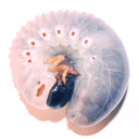 absoluteunpleasantness avatar