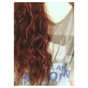 absorpeprotegrus avatar