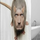 absurder-ovalbrain avatar