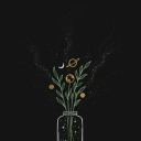 abuncharandomish avatar