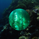 abyssalplainss avatar