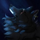 accaliawolf avatar