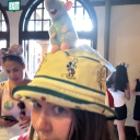 acciopevensie avatar