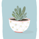 acesiousnebulaposts avatar