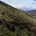 achievementt-teeth avatar