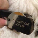 achillean-arachne avatar