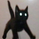 achilleansunrise avatar