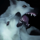 acidiccranium avatar