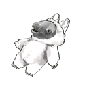 acquarianmoon avatar