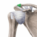 acromioclavicular3 avatar