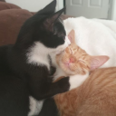 acrylicgummiworms avatar