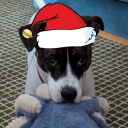 actionpackedjackson avatar