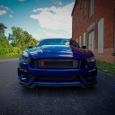 adantetoremember avatar