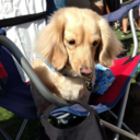 addictedtoblank avatar