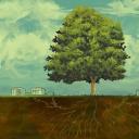 addictedtowords16 avatar