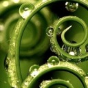 adelaidekanedaily avatar