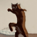 adeptus-panthera avatar