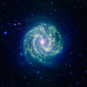 aderynrrowntree avatar