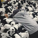 adidasgiyenpanda avatar