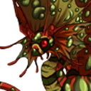 adony-draws-bugs avatar