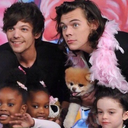 adoptedstylinson avatar