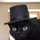 adreamoftimeladypals avatar