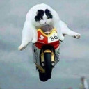 adrien-is-a-meme avatar