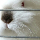 adventureismysecondname avatar