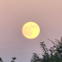 adventures-in-mathematics avatar