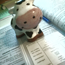 adventuresatcollege avatar