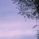 aesthetic-h0ee avatar