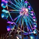 aesthetic-revival avatar