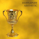 aestheticalhufflepuff avatar