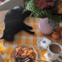 aestheticallyaway avatar