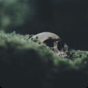 aesthetichogwarts avatar