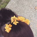 aestheticpip-blog avatar