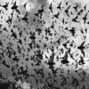 aestheticsforghosts avatar