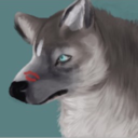 aestheticwolfy avatar