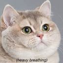 aeternatenebra avatar