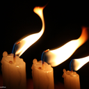 afallowfield-blog avatar