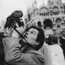 affoghiamodentroalmoetchandon avatar