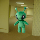 aftonsparv-in-places avatar