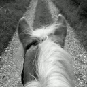 against-all-o-dds avatar