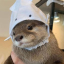 agenderanarchy avatar