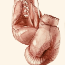 agent--carolina avatar